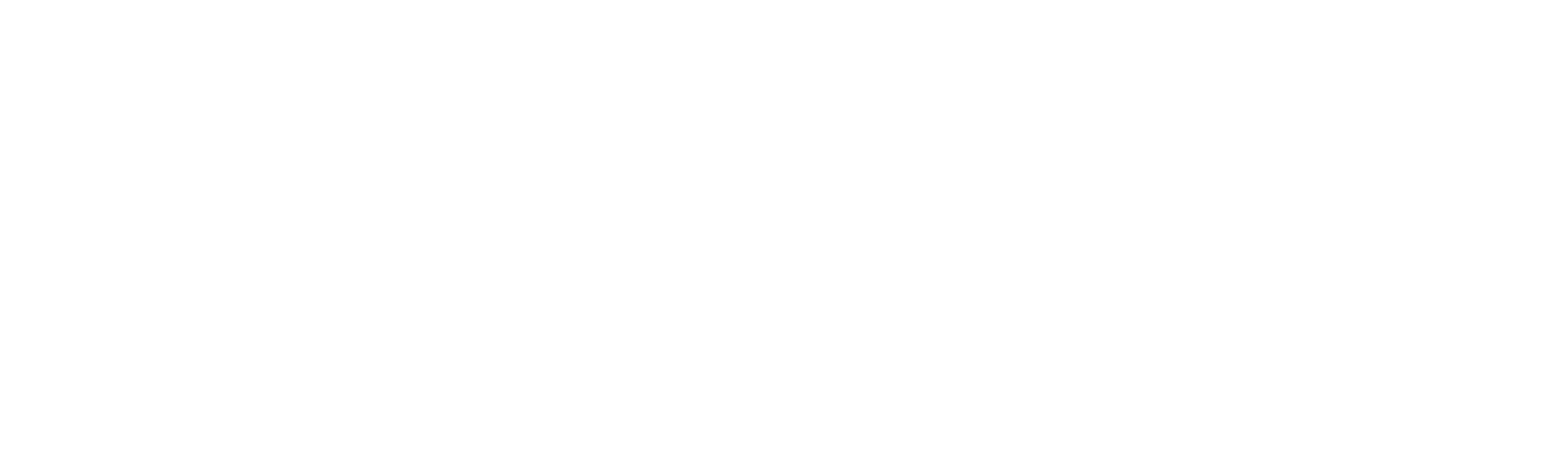 CheckPoint – SunAuto – png